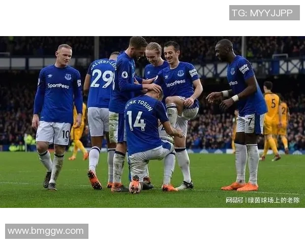 2018年英超精彩对决布莱顿主场迎战埃弗顿球队表现分析与赛后点评